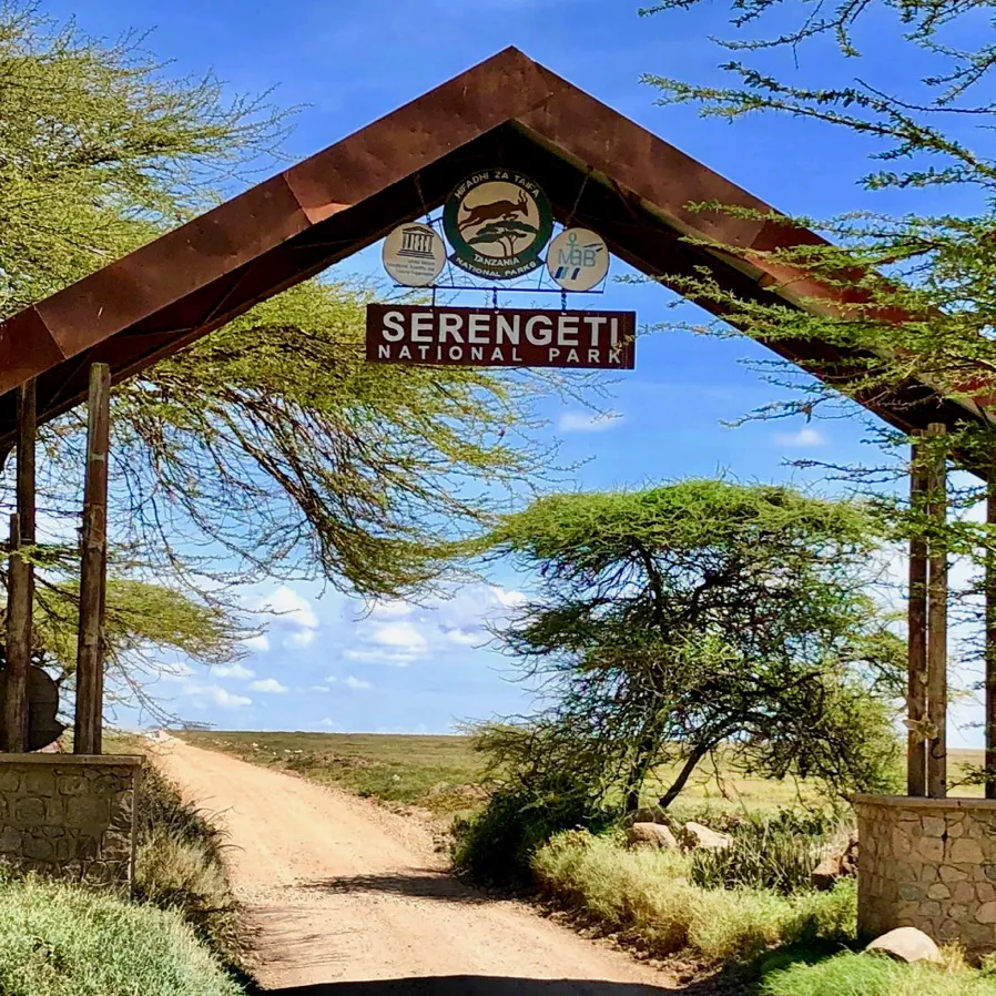 L’Immensité du Serengeti